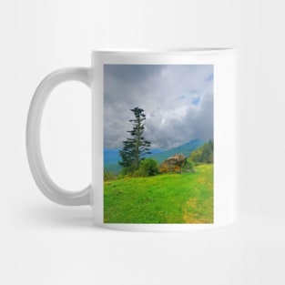 Tree and Rock on the Blue Ridge Parkway Mug